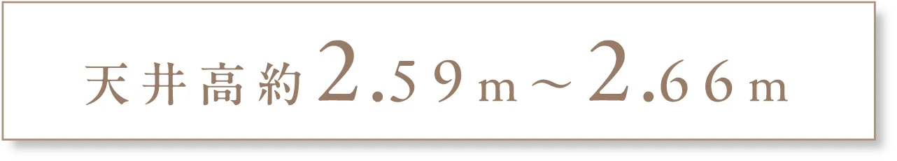 天井高約2.59m〜2.65m