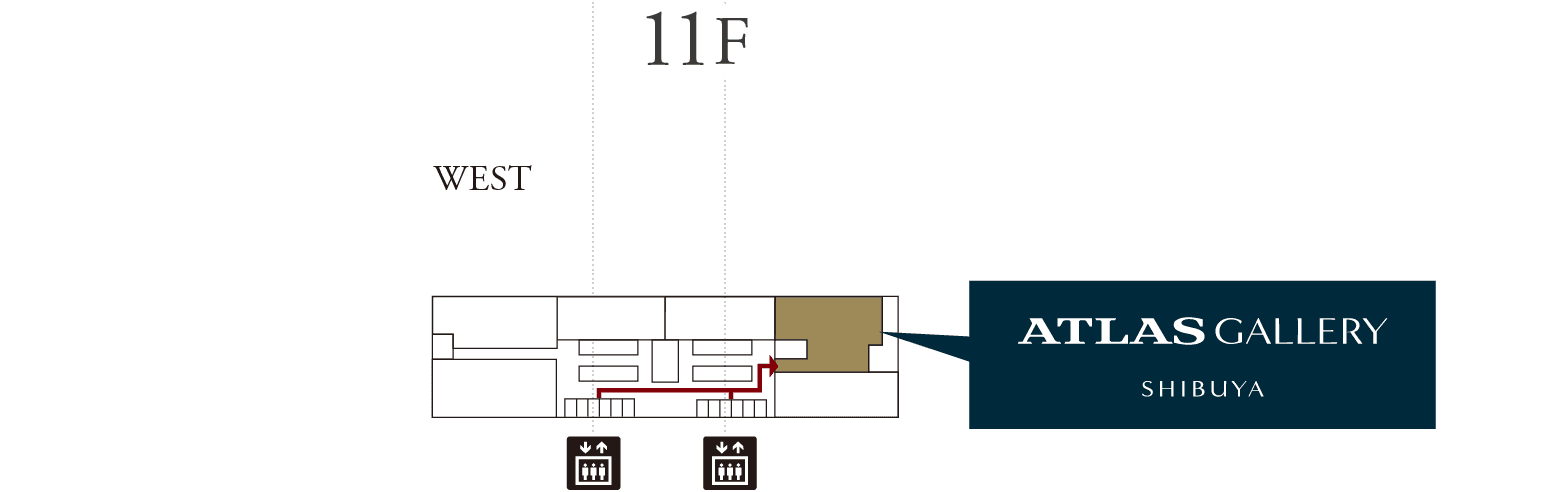 11F