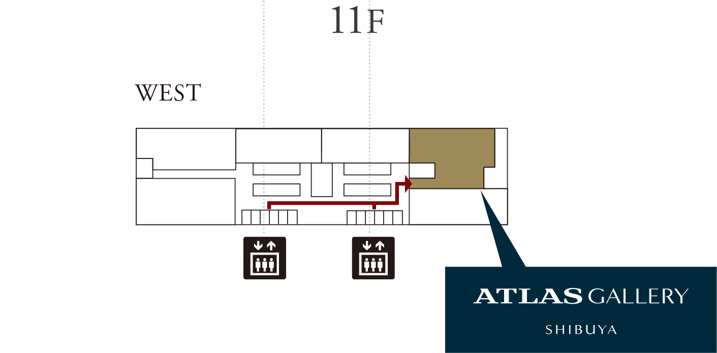 11F