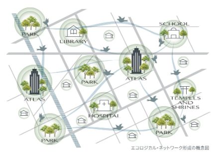 エコロジカル・ネットワーク形成の概念図